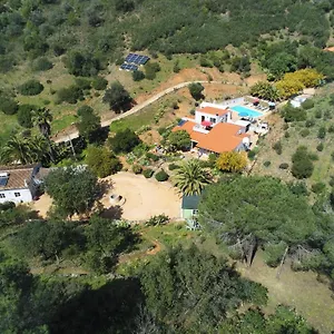 Terra Delicias , Morenos Portugal